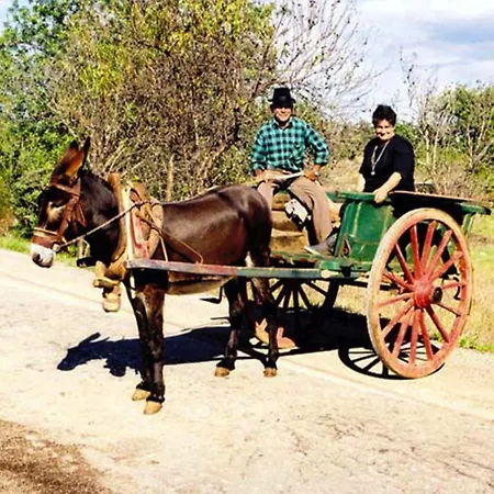 Prázdninový areál Jardins Da Balaia Albufeira