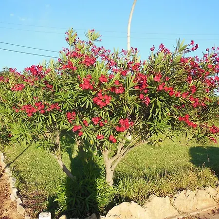 Holiday park Jardins Da Balaia Albufeira