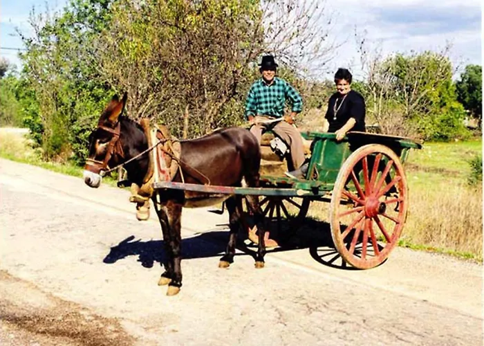 Semesterpark Jardins Da Balaia Albufeira