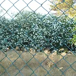 Jardins Da Balaia База відпочинку 3*