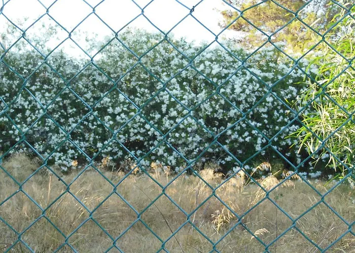 Jardins Da Balaia 홀리데이파크 3*